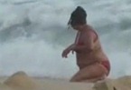 cerdo en la playa