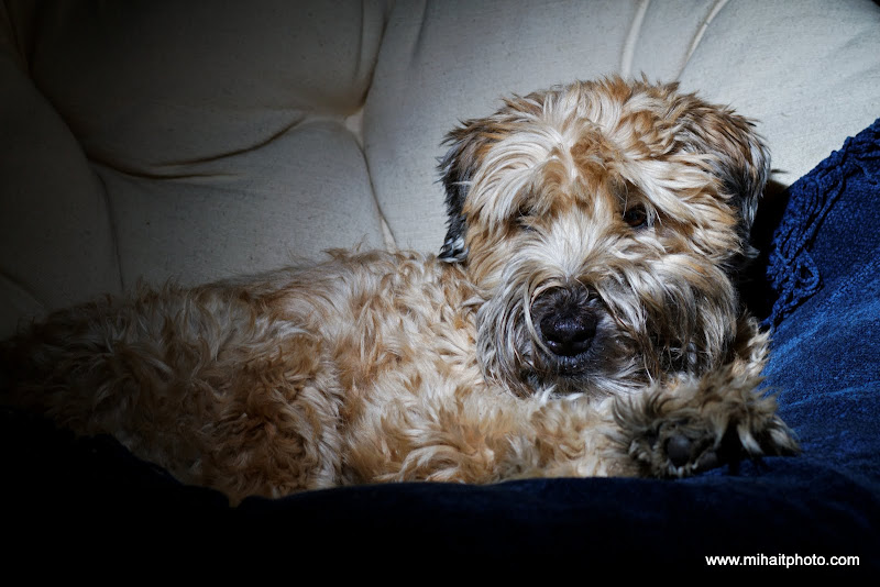 IMAGE: http://lh3.ggpht.com/_JVxeijJybD0/S5QaHtf8s6I/AAAAAAAAIAY/6isL1GuT_4U/s800/IMG_6003_DxO_raw.jpg