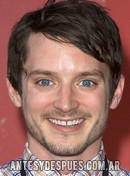 Elijah Wood, 2010
