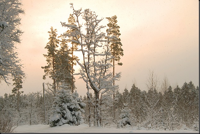 vastupaikest vastupaikest
