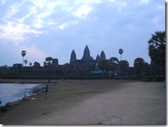 SANY0954
