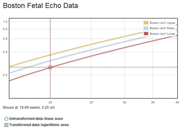 fetal_skew fetal_skew