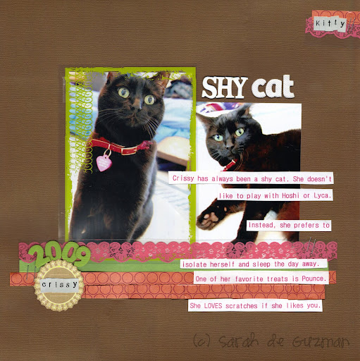Shy Cat