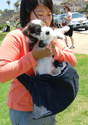 On our walk, Gloria and I traded turns carrying Hilo in the sling I sewed for him.