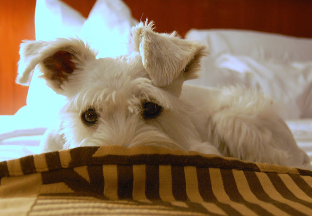 Maui surely enjoyed the preferential treatment this past weekend.