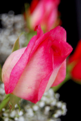 I havent gotten flowers in a while.