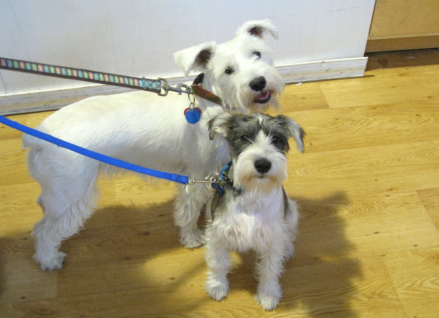 Do we get treats in this store just like in the boutiques?!