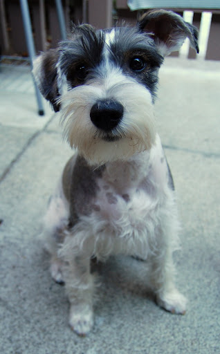 He is SOOOOOO crazy, but oh so cute!