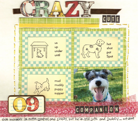 Crazy Cute Companion