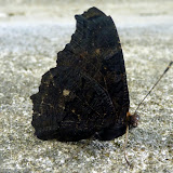P1020125.JPG