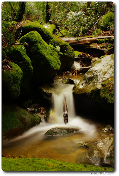 Little Waterfall