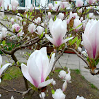 P1010693.JPG