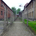 DSCF7122.JPG