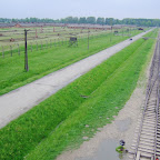 DSCF7229.JPG