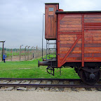 DSCF7149.JPG