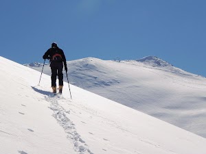 Falkert_20-3-2011_32.JPG