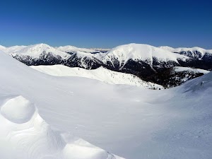 Falkert_20-3-2011_36.JPG