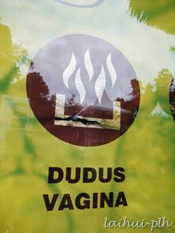 DSCF5313