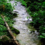 IMG_1018.jpg