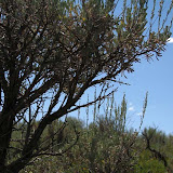 IMG_0916_sm.jpg
