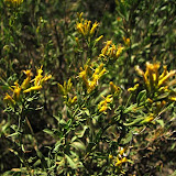 IMG_0922_sm.jpg