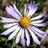 IMG_0926_crop_sm.jpg