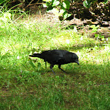 oregon2007w_24.jpg