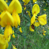 oregon2007c_13.jpg