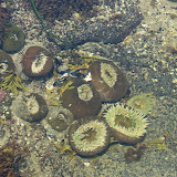 oregon2007w_10.jpg