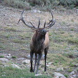 IMG_0036_sm.jpg