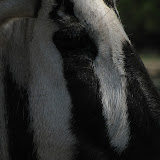 IMG_0162.JPG