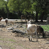 IMG_0180.JPG
