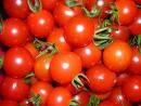[tomates[4].jpg]