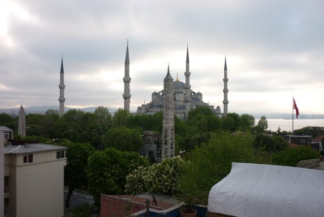 P1020711.JPG