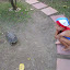 P1000861.JPG