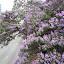 P1010242.JPG