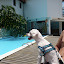 P1030645.JPG