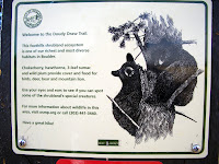 CIMG5423.JPG Photo