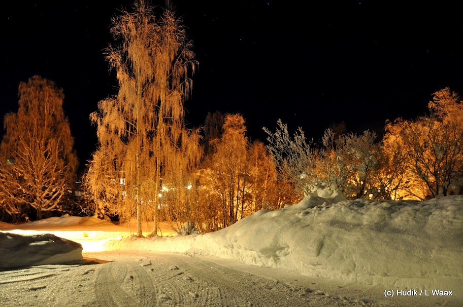 DSC_0003.JPG