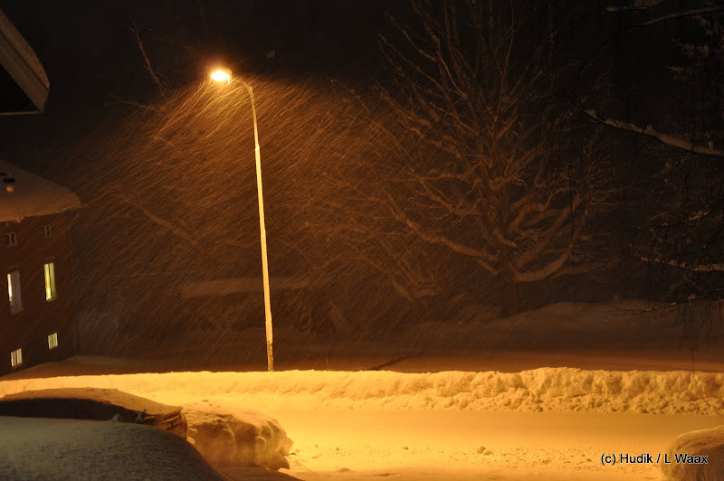 DSC_0006.JPG