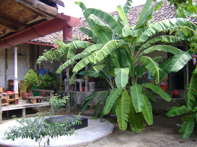 http://lh3.ggpht.com/_JhwvZZ52agw/SRpksIBM4LI/AAAAAAAAB44/8tX_JKYbndQ/s640/DSC00903.JPG