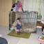 Mackensie Visits Keely 07.jpg