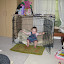 Mackensie Visits Keely 10.jpg