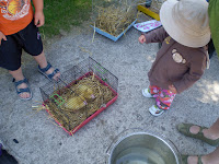 P7110509.JPG