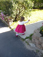 IMG_1445.JPG