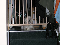 The Mob 019.jpg The Mob 019.jpg
