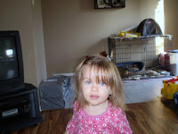 PB190256.JPG