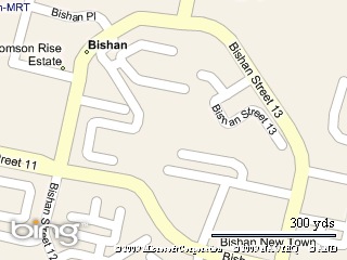 Map picture