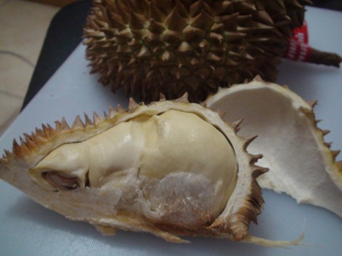 durian (17)
