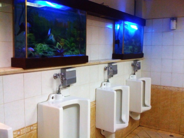airport's tolet aquarims
